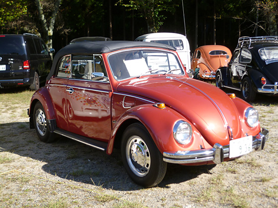 16th VW AUTUMN 2015